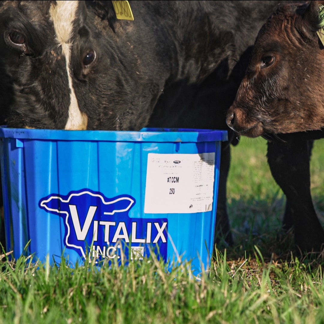 Thornton's Feed & Grain, Inc. Decorah Area Chamber of Commerce